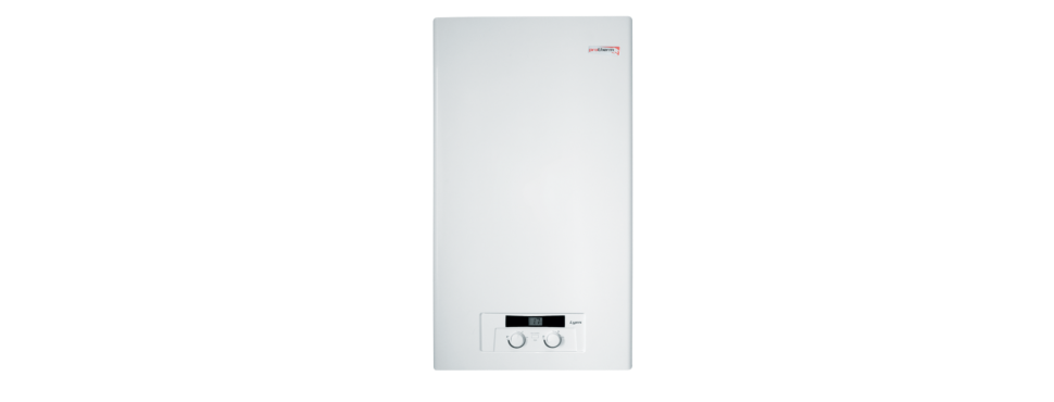 Настенный газовый котел Protherm Рысь НК 24