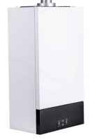 Настенный газовый котел Moguchi GBL 20F