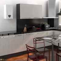 Газовый водонагреватель Ariston Fast Evo 11C