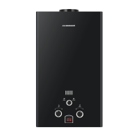Газовый проточный водонагреватель Edisson E 20 D Black